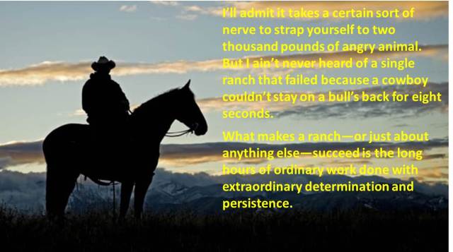 Bull Riding &amp; Success